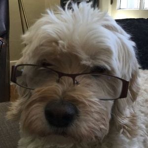 Meet your Posher, Charlie